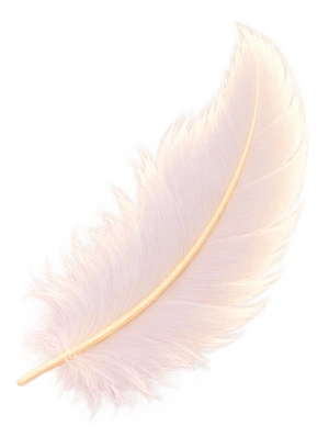 A soft drifting feather